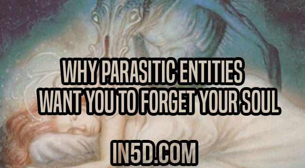 Why Parasitic Entities Want You To Forget Your Soul