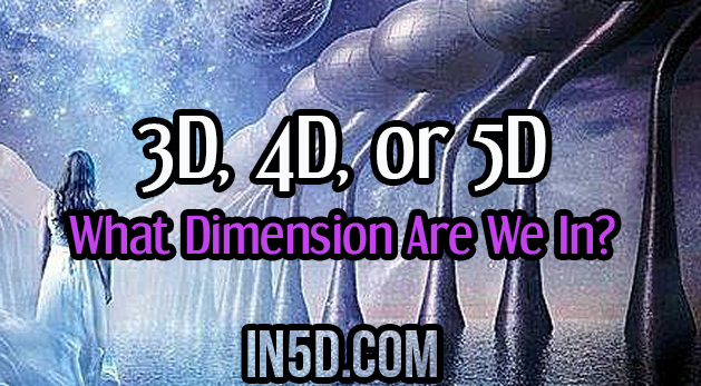 3D, 4D, or 5D - What Dimension Are We In?