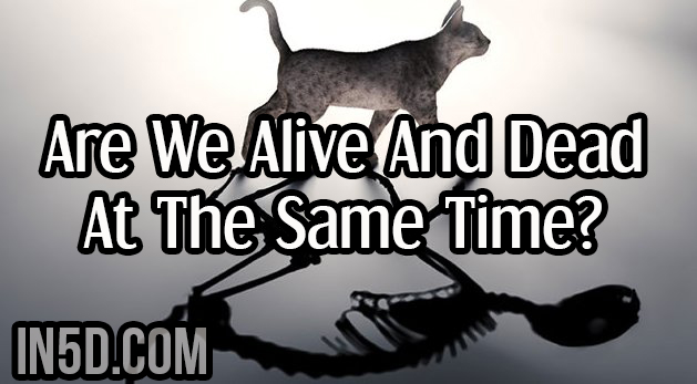 Are We Alive And Dead At The Same Time?