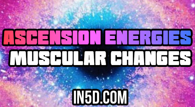 Ascension Energies - Muscular Changes
