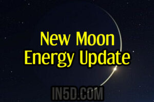 New Moon Energy Update