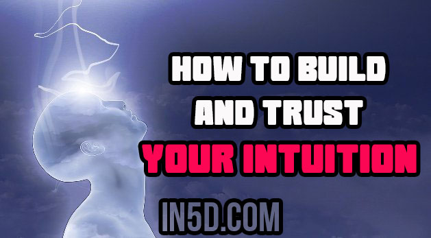 How To Build And Trust Your Intuition