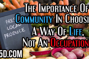 The Importance Of Community In Choosing A Way Of Life, Not An Occupation