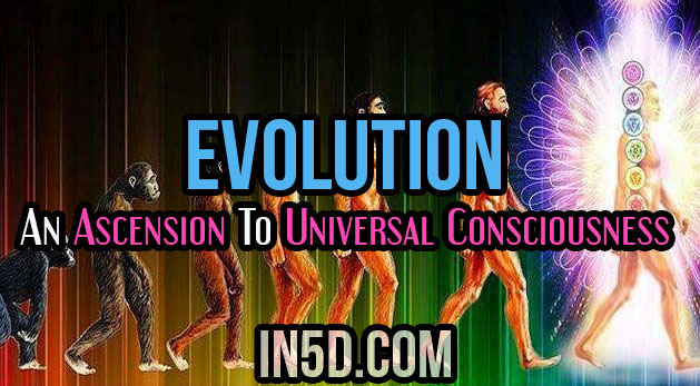 Evolution: An Ascension To Universal Consciousness