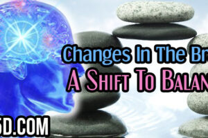 Changes In The Brain – A Shift To Balance