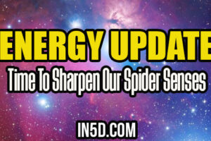 Energy Update – Time To Sharpen Our Spider Senses