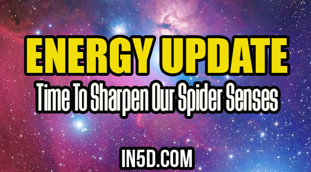 Energy Update - Time To Sharpen Our Spider Senses