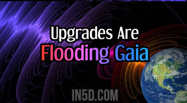 Upgrades Are Flooding Gaia
