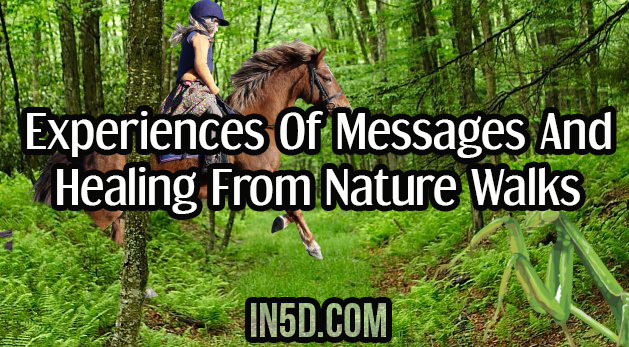 Experiences Of Messages And Healing From Nature Walks