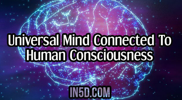 Universal Mind Connected To Human Consciousness