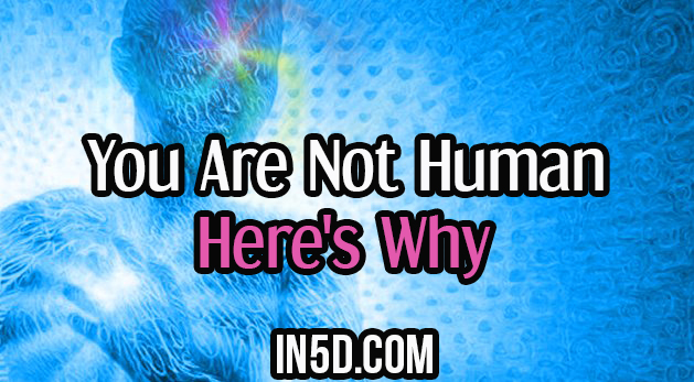 You Are Not Human. Here's Why
