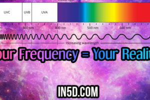 Your Frequency = Your Reality