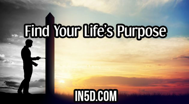 Find Your Life’s Purpose