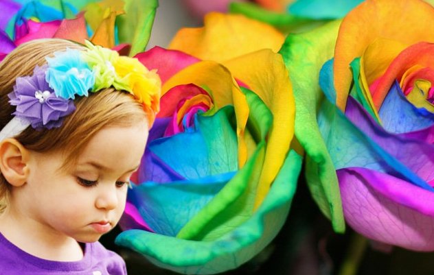 Ascension Vision: Rainbow Flower Children