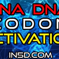 dna activation mantra meaning