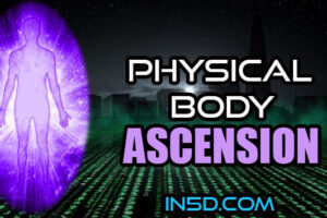 The New Matrix Is Allowing Us To Ascend In Consciousness In A Physical Body