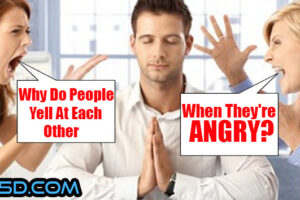 Why People Yell At Each Other When They’re Angry