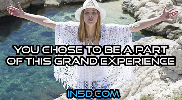 You Chose To Be A Part Of This Grand Experience