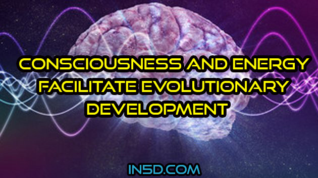 How Consciousness And Energy Facilitate Evolutionary Development