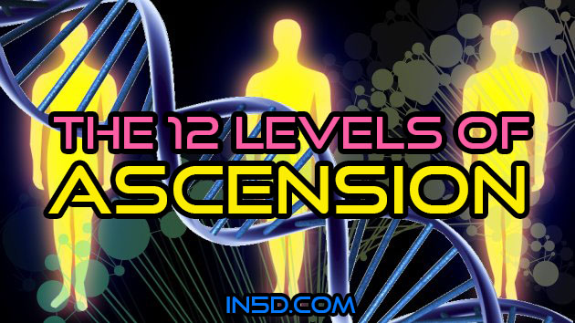 The 12 Levels of Ascension