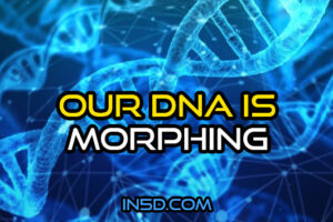 Our DNA Is Morphing