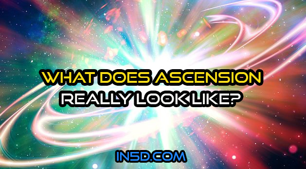 What Does Ascension REALLY Look Like?