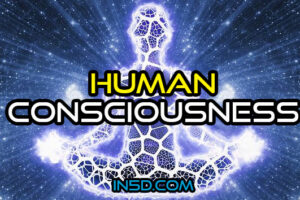 Human Consciousness: The Evolutionary Basis For The Condition It