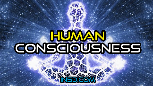 The Evolutionary Basis For The Condition Of Human Consciousness