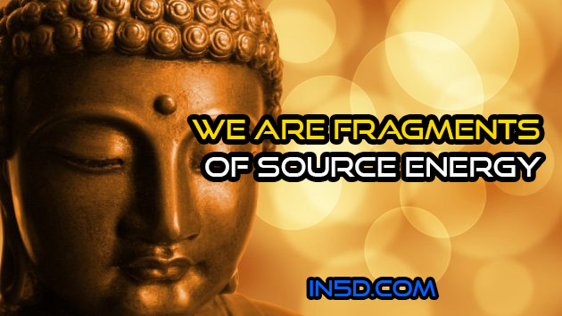 We Are Fragments Of Source Energy