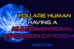 You Are Human Having a Multidimensional Ascension Experience