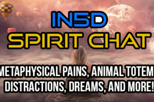 Metaphysical Pains, Animal Totems, Distractions, Dreams, And More! In5D Spirit Chat
