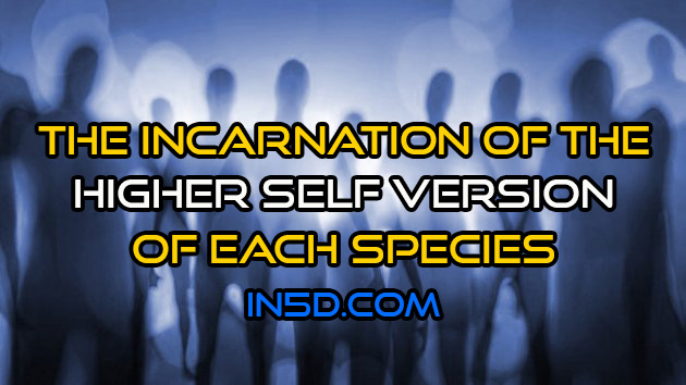The Incarnation Of The Higher Self Version Of Each Species