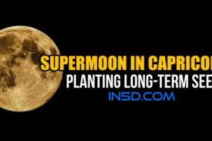 Supermoon In Capricorn: Planting Long-Term Seeds