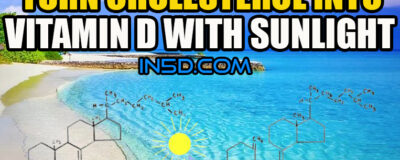 Turn Cholesterol Into Vitamin D With Sunlight
