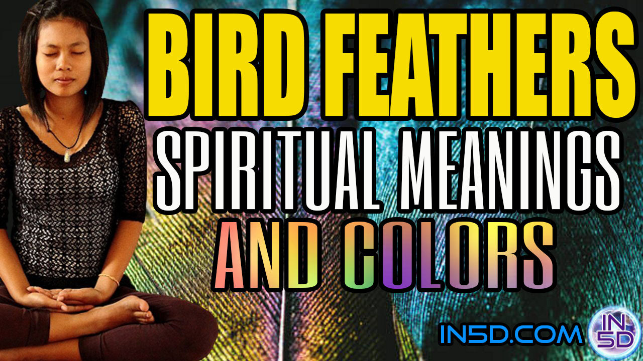 Specific Spiritual Meanings Of Different Bird Feathers and Colors