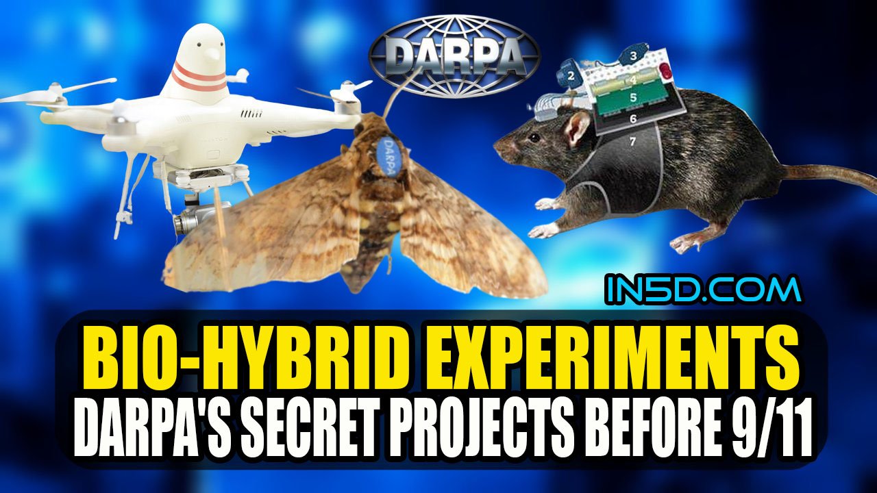 Bio-Hybrid Experiments: DARPA's Secret Projects Before 9/11