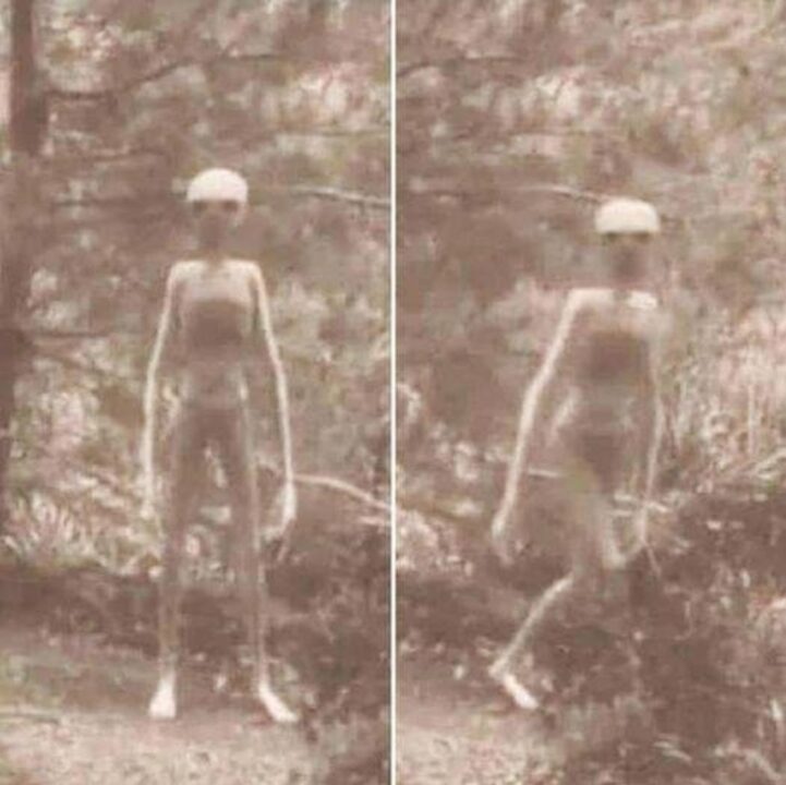 The Mysterious Grey Extraterrestrial Encounter in Gila National Forest