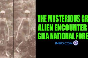 The Mysterious Grey Extraterrestrial Encounter in Gila National Forest