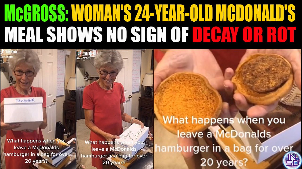 McGross: Woman's 24-Year-Old McDonald's Meal Shows No Sign Of Decay Or Rot